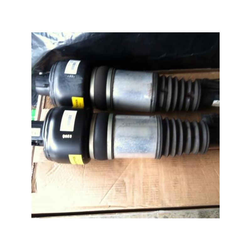 Mercedes-Benz CLS-Class Front Right Air Suspension Strut 2006