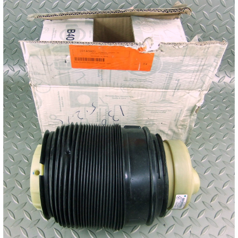 2123200325 Mercedes-Benz E-Class Rear Left Airmatic Strut 2010-2012