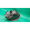 Mini Cooper Headlight, Right 2001-2006