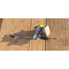 32106899956 BMW X1 Steering Gear Box 2016-2023 32105A19846