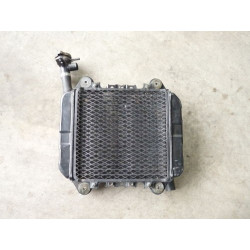 Kawasaki Ninja 250 Engine Cooling Radiator 1987-2007 | EX250
