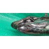 84002CA391 Toyota GT86 Left Full LED Headlight 2017-2019 84002CA390