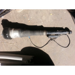 2213203613 Mercedes-Benz S-Class Right Rear Suspension Air Strut 2006-2012