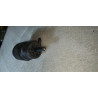 8K5955647 Audi e-tron Windshield washer pump